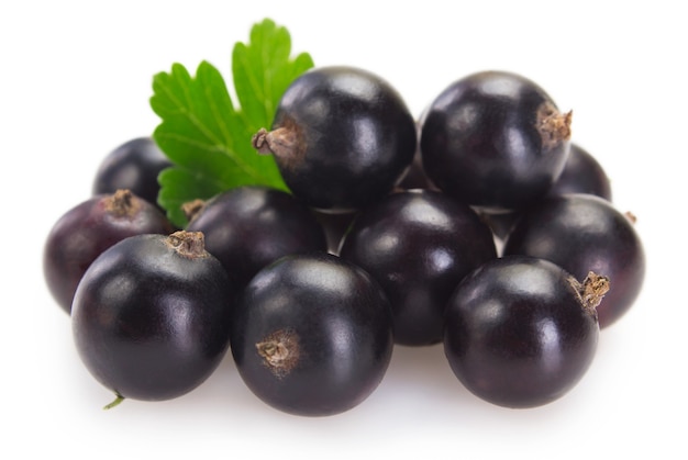 Black currant isolated on white background closeup