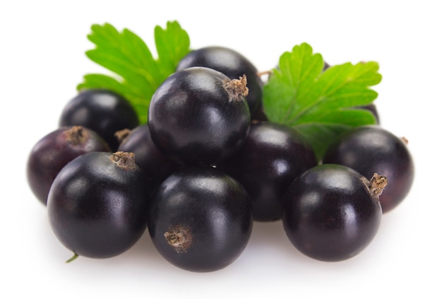 Black currant isolated on white background closeup