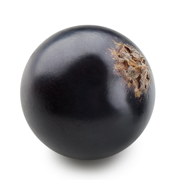 Black currant isolated