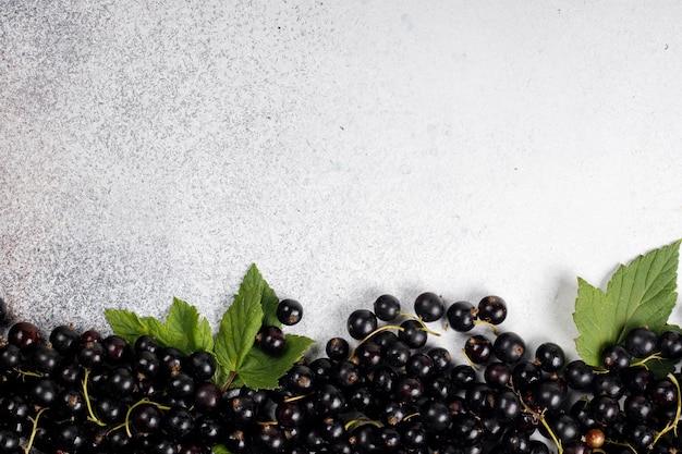 black currant scattered on the background