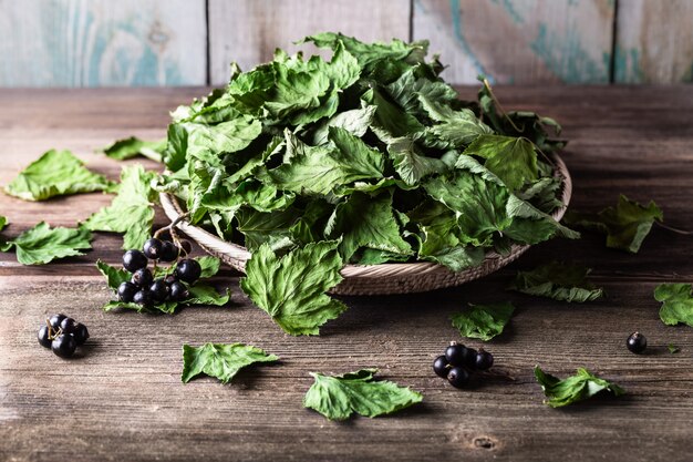 Black currant with green dried leaves on wooden background.