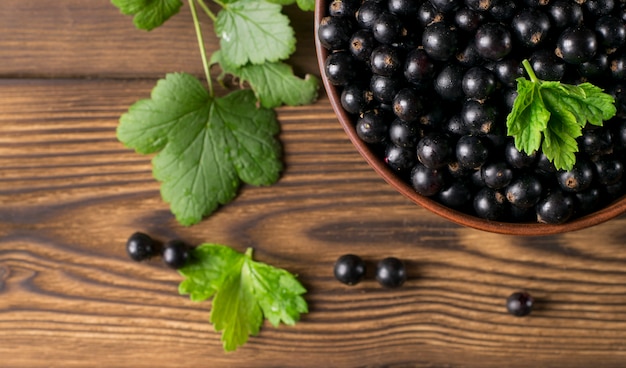 Black currant on wooden table with leaf sprig