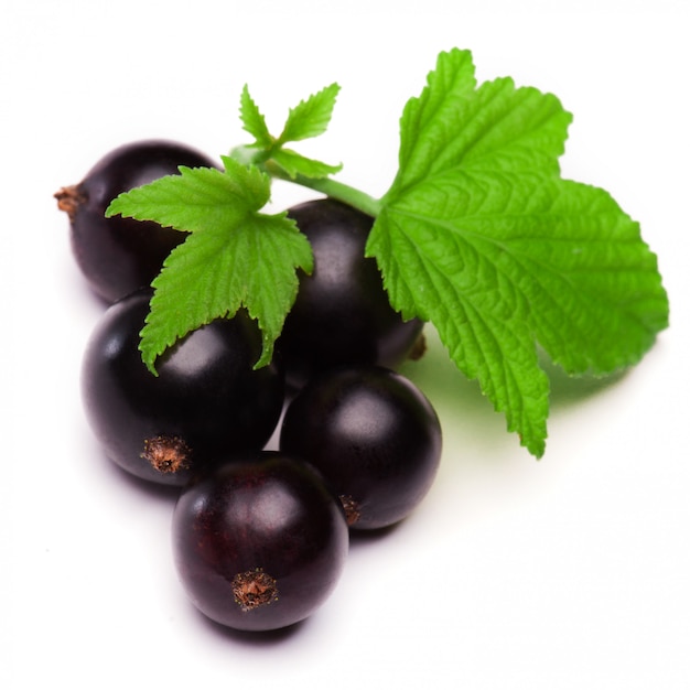 Black currants isolated on white