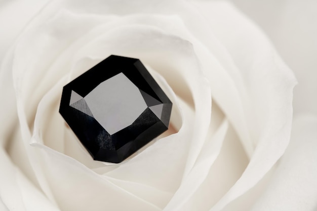 Photo black diamond on white rose petals