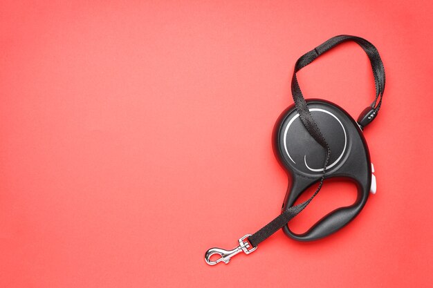 Black dog leash on a red background, place for text. Flat lay.