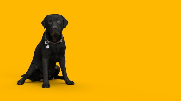 Black dog on a yellow background with hand food banner for animals