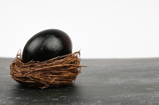 Черное яйцо в гнезде