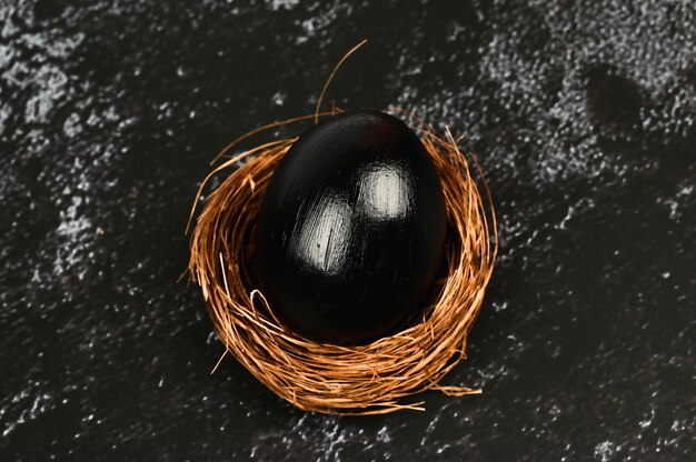 Black egg in a nest