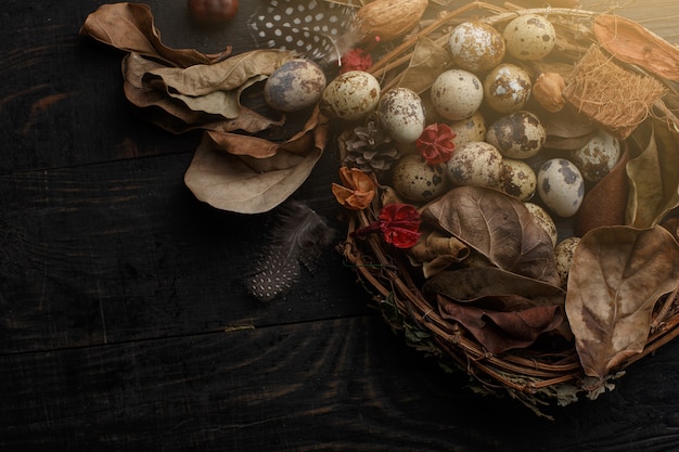 Black eggs in a nest of dry branches on a black board. Easter style.