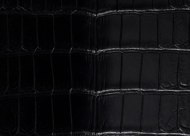 Black expensive crocodile skin in a gradient Expensive product made of crocodile skin