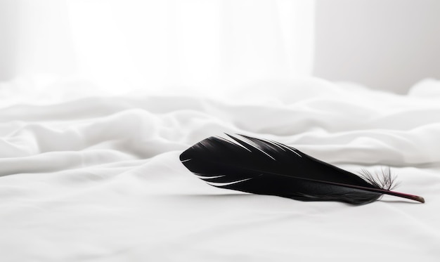 A black feather is laying on a bed with a white blanket.