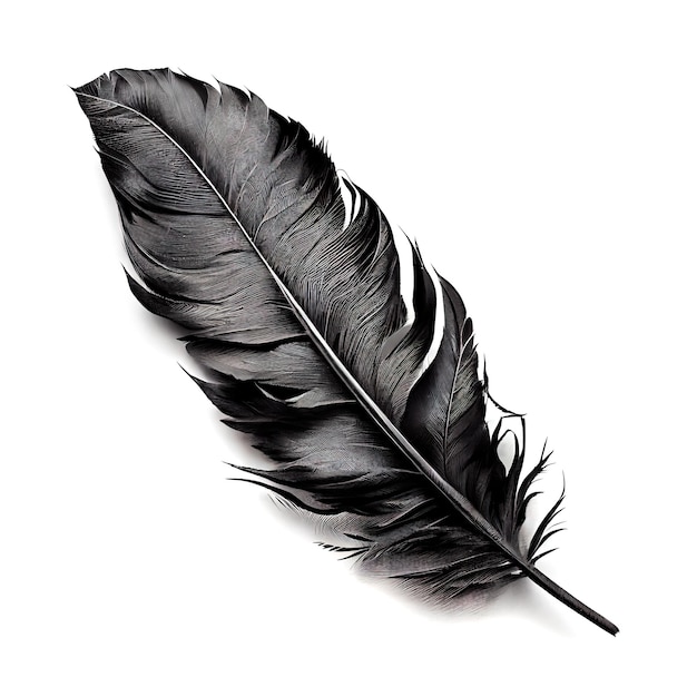 Black Feather Isolated Swan Plume Dark Gray Bird Feathers Abstract Generative AI Illustration