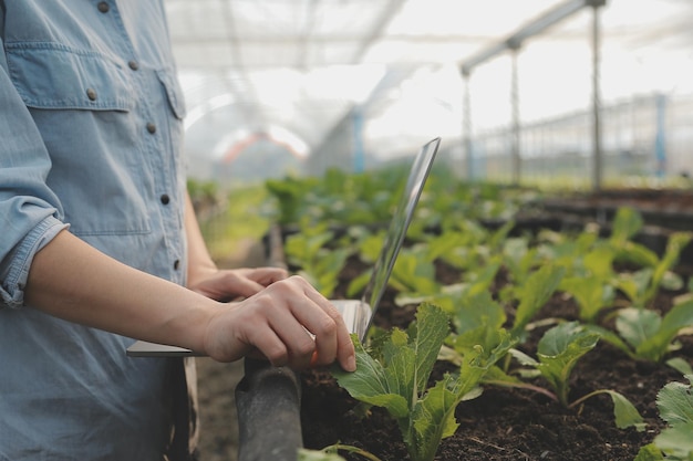 a black female farmer using a tablet smiling friendly at the organic vegetable plots inside the nurseryafrican woman taking care of the vegetable plot with happiness in greenhouse using technology