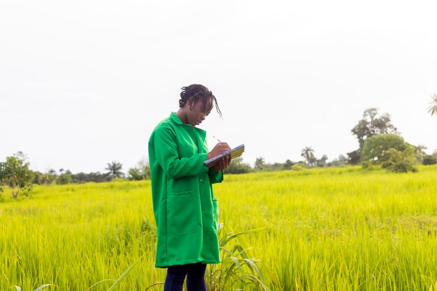 Black Female plant researcher checking and taking notes in wheat fields