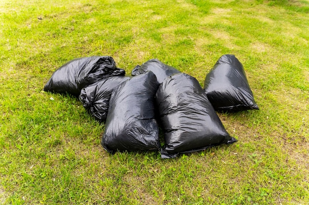 Black filled plastic bags with mown grass on the lawn, spring or autumn cleaning of the city from foliage, garbage, illegal landfills. Environmental protection.