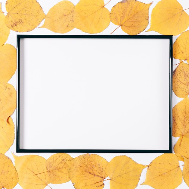Black frame and dry yellow autumn leaves