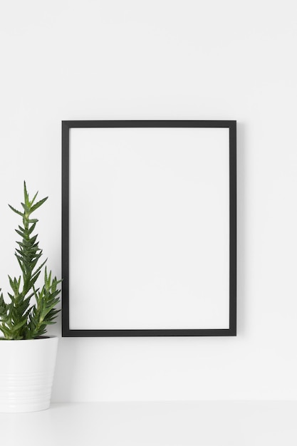 Black frame mockup on the wall with a aloe vera