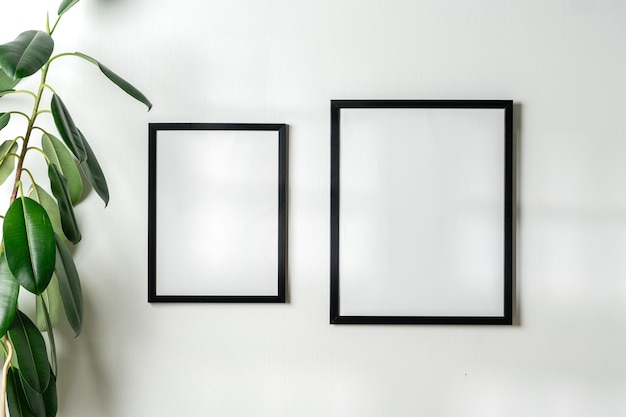 Photo black frames and houseplant against white wall copy space