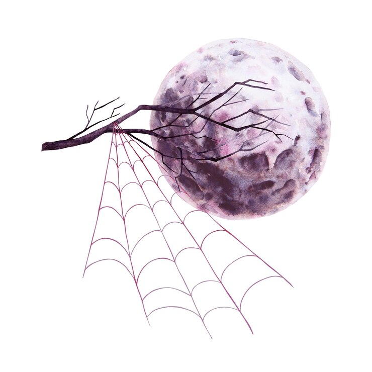 Photo black full moon tree branch and spider web watercolor hand drawn cut out isolated illustration round
