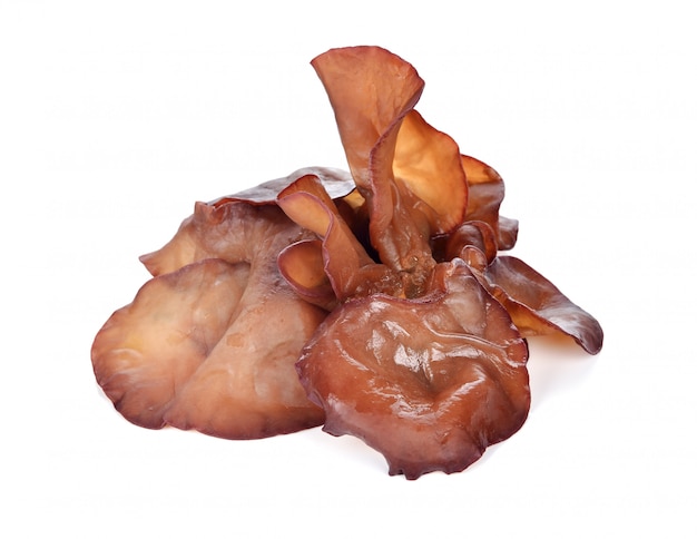 Black Fungus (Jew&#39;s Ear Mushroom)