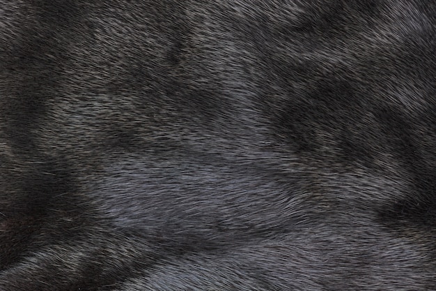 Photo black fur texture