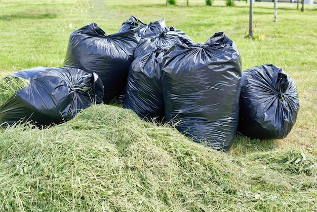 Black garbage bags are filled with cut grass after mowing the lawn