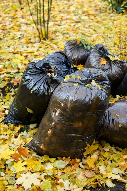 Sacchetti di immondizia neri pieni di foglie cadute