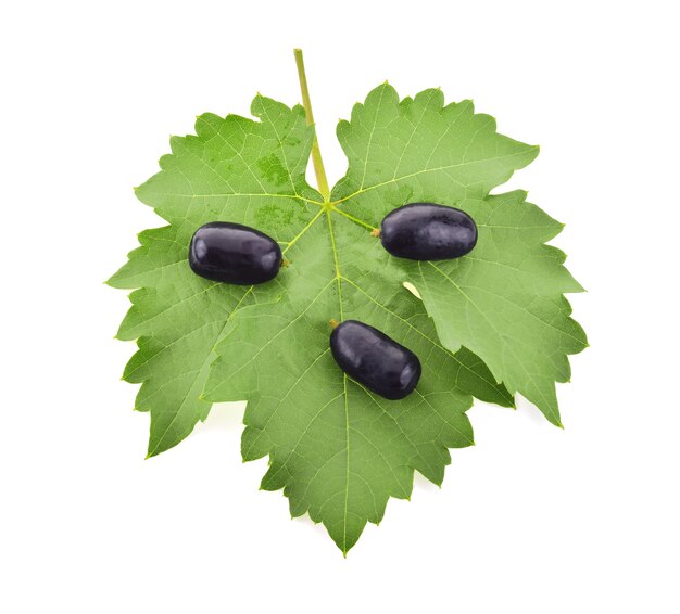 Black grape isolated