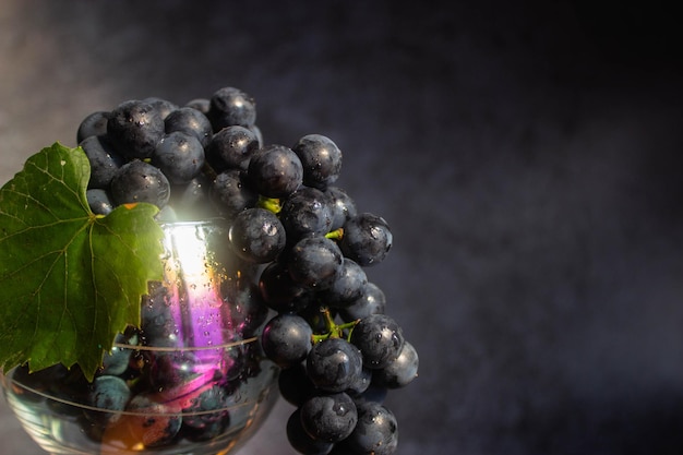 Black grapes Isabella lies in a wine glass