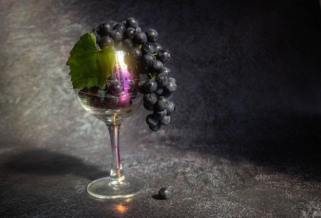 Black grapes Isabella lies in a wine glass