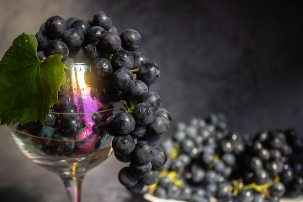 Black grapes Isabella lies in a wine glass