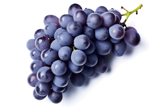 Black grapes isolated on white background