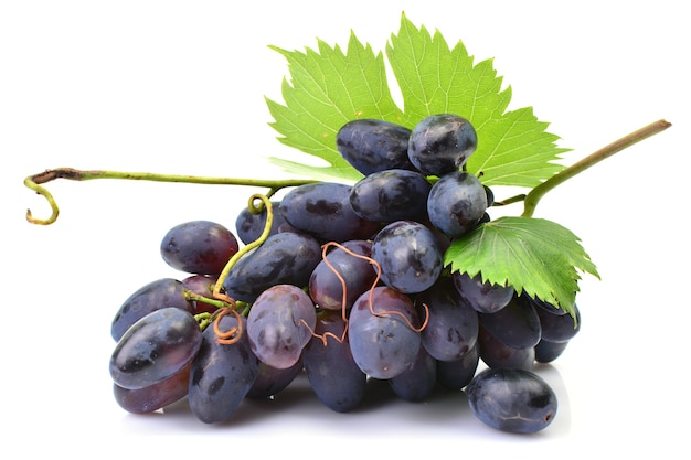 Black grapes on a white surface