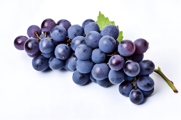 Black grapes with green leaves