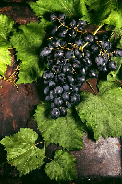 black grapes with leaves