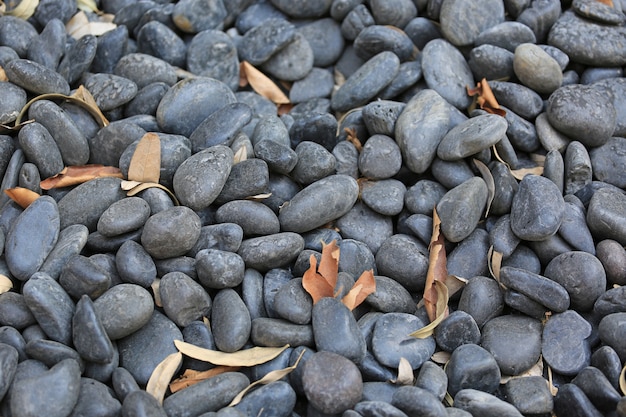 背景の乾燥葉と黒砂利小石