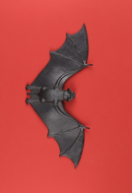 Photo black halloween bat isolated on red background