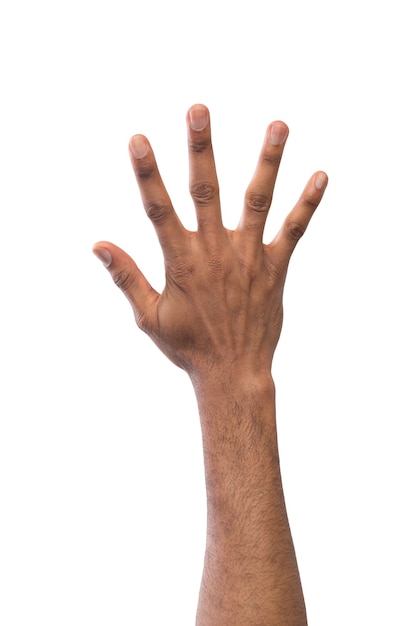 Photo black hand showing number five isolated. counting gesturing, enumeration, white background