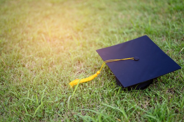 The black hat of university graduates is placed on green leaves.