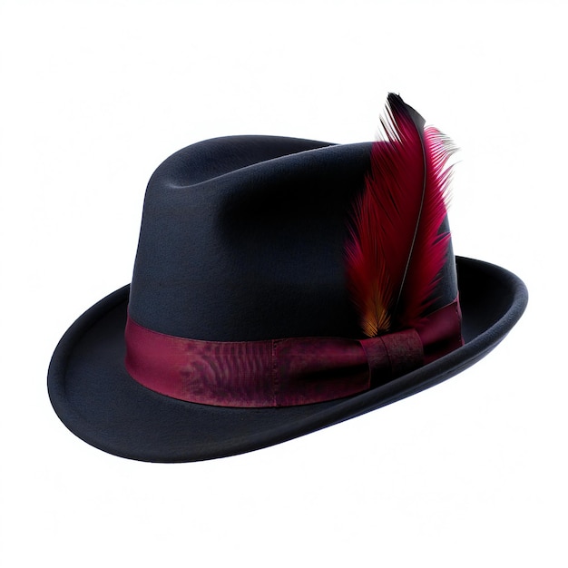 Black hat with red feather isolated on white background illustration