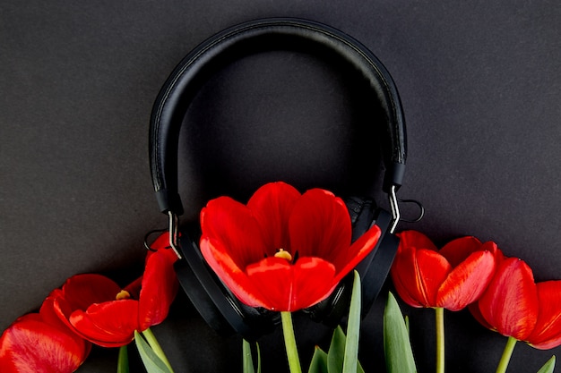 Black headphones and red tulips