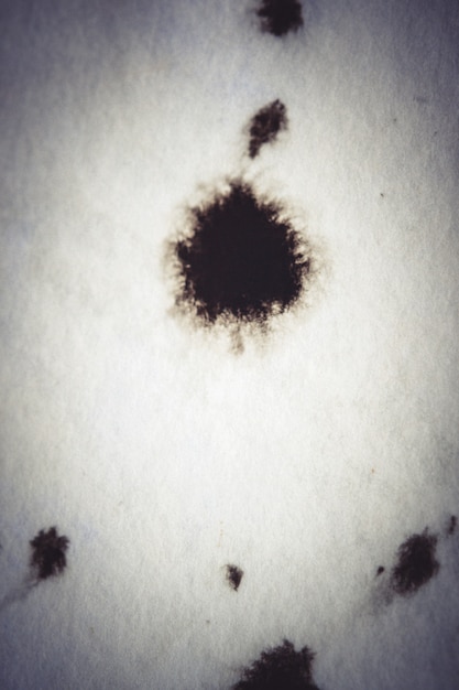 Black Ink Conveyed Over White Close-up Paper. Abstract Background Dark Filter. Ink Stains Spread Out and Absorbed Into the Paper Macro.