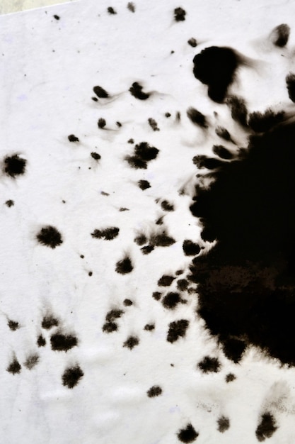 白いクローズアップ紙の上に運ばれた黒いインク。白い背景で隔離の抽象的な背景。インクの汚れが広がり、紙のマクロに吸収されます。