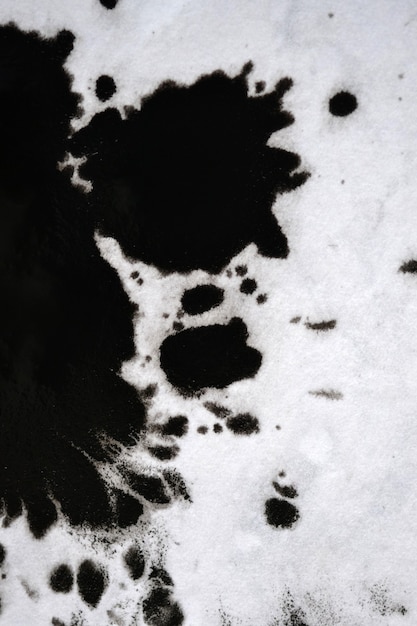 Foto inchiostro nero trasportato su carta bianca close-up. sfondo astratto isolato su sfondo bianco. macchie di inchiostro sparse e assorbite nella carta macro.