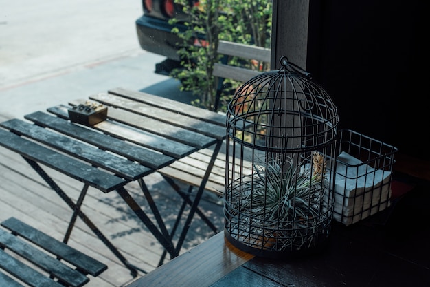 Black iron cage have a small cactus and relaxing zone outside.