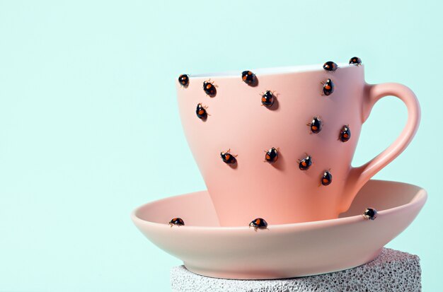 Black ladybugs with small red spots on pink tea cup