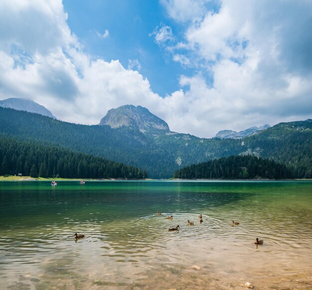 검은 호수 Durmitor 몬테네그로