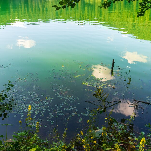 Photo black lake (karagol), national park. savsat, artvin, turkey,  - black sea region