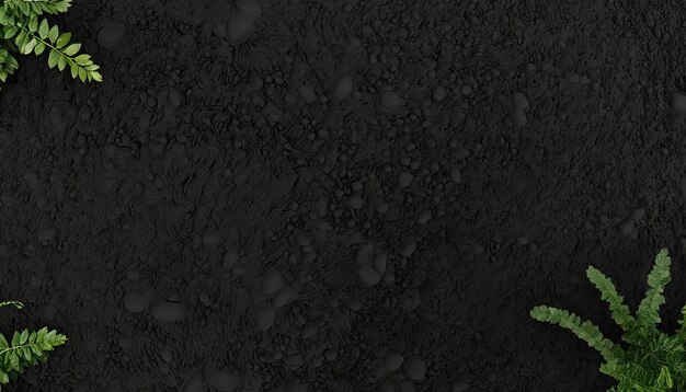 Фото Черная земля для растительного фона верхний вид