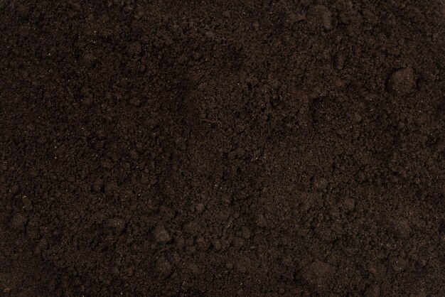 Black land for plant background Top view